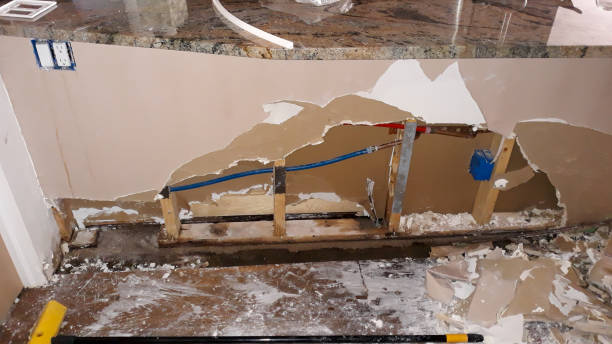 Best Water damage contractors near me  in Plainview, NE