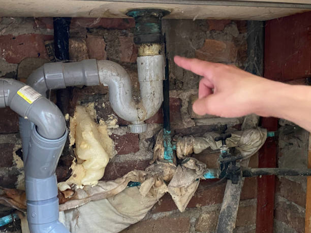  Plainview, NE Water damage restoration Pros